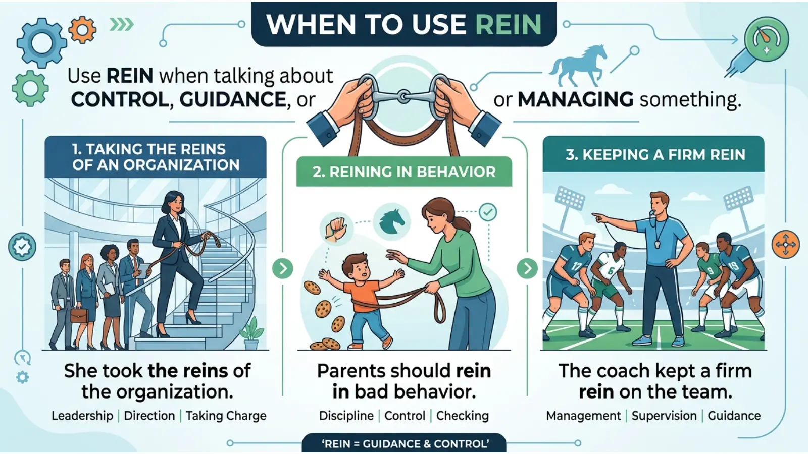 When to Use Rein